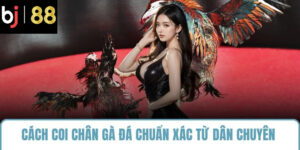 cách coi chân gà đá