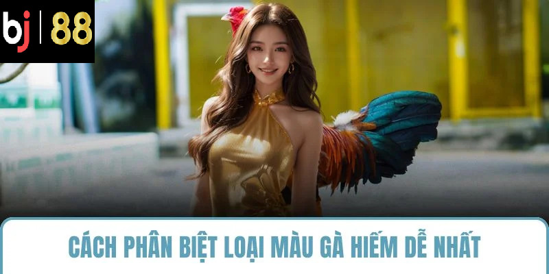 Cách phân biệt loại màu gà hiếm dễ nhất