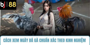 cách xem ngày đá gà