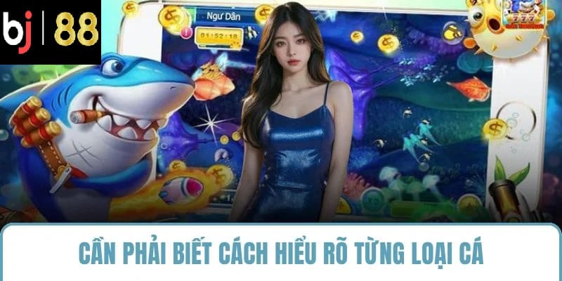 Cần phải biết cách hiểu rõ từng loại cá