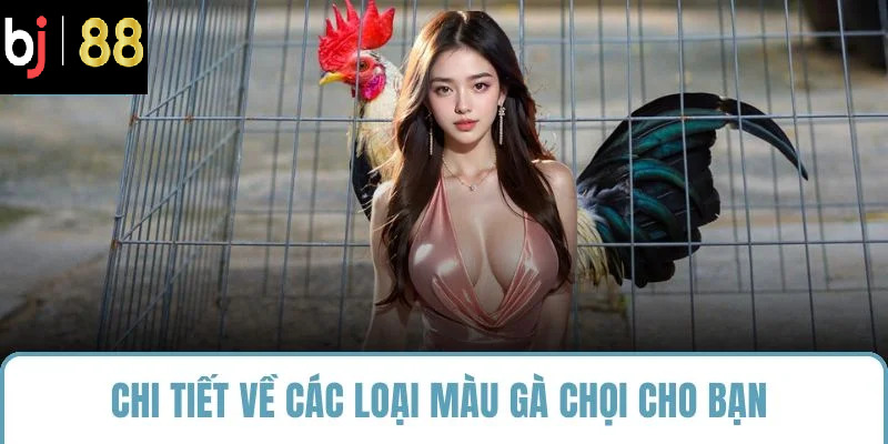 Kết hợp kỹ năng đặt cược khi trải nghiệm