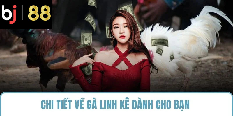 Chi tiết về gà linh kê dành cho bạn