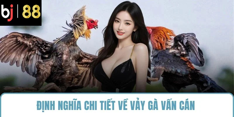 Định nghĩa chi tiết về vảy gà vấn cán