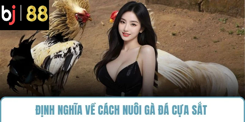 Định nghĩa về cách nuôi gà đá cựa sắt