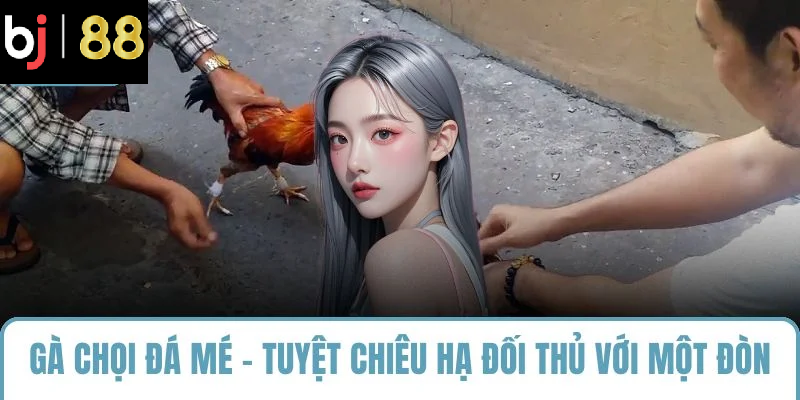 gà chọi đá mé