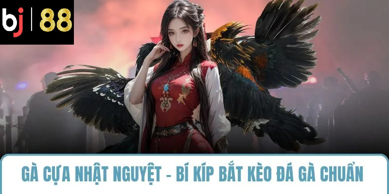 gà cựa nhật nguyệt