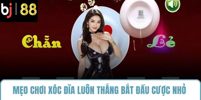 Mẹo chơi xóc đĩa luôn thắng bắt đầu cược nhỏ 