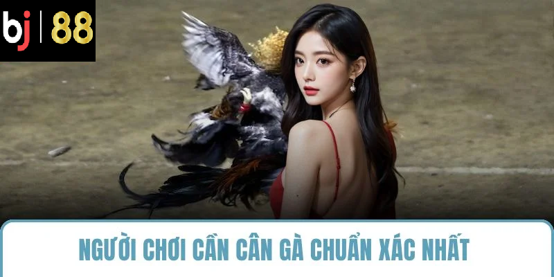Người chơi cần cân gà chuẩn xác nhất