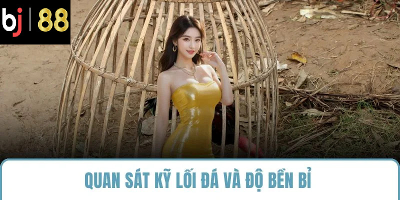 Quan sát kỹ lối đá và độ bền bỉ