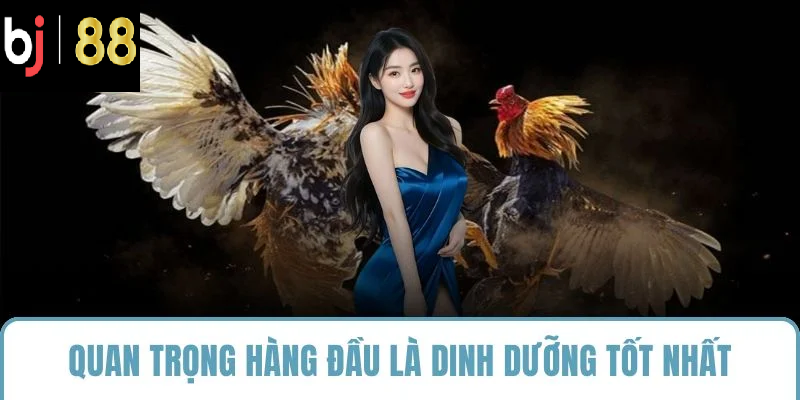 Quan trọng hàng đầu là dinh dưỡng tốt nhất