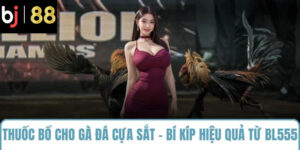 thuốc bổ cho gà đá cựa sắt