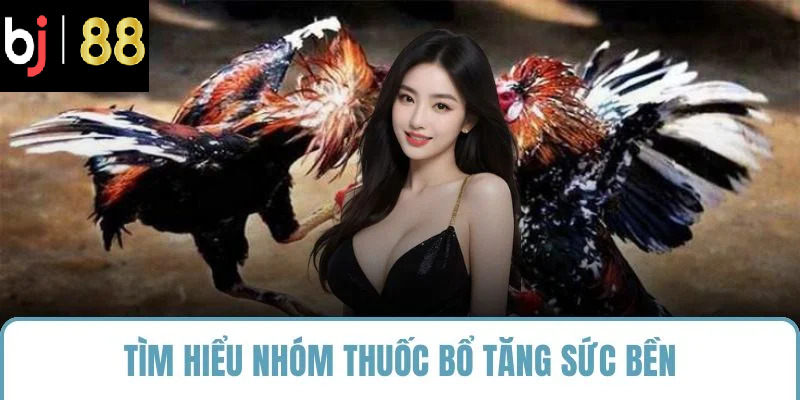 Tìm hiểu nhóm thuốc bổ tăng sức bền