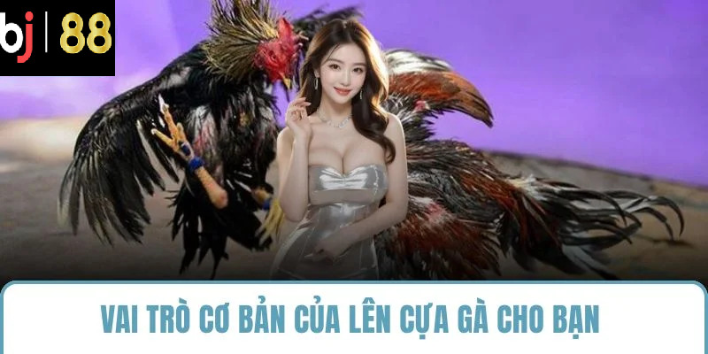 Vai trò cơ bản của lên cựa gà cho bạn