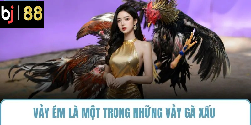 Vảy ém là một trong những vảy gà xấu