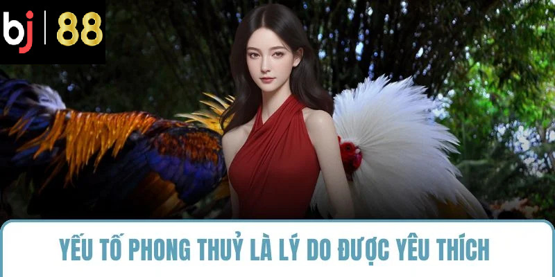 Yếu tố phong thuỷ là lý do được yêu thích