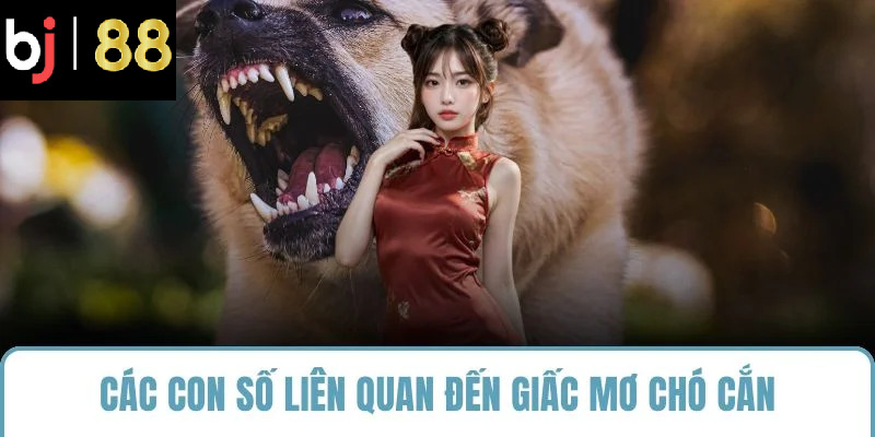 Các con số liên quan đến giấc mơ chó cắn