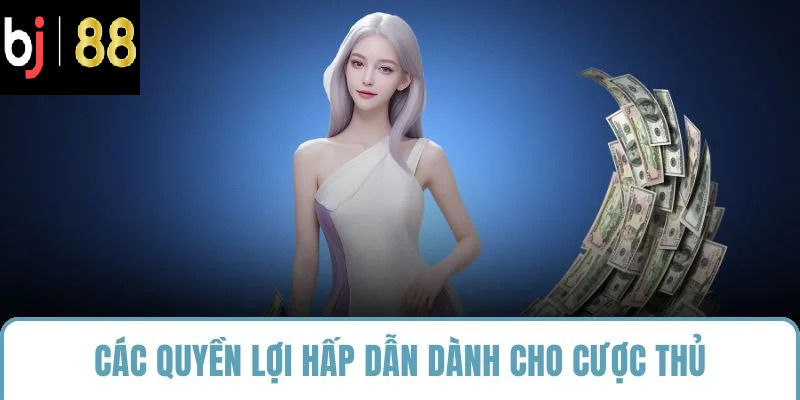 Các quyền lợi hấp dẫn dành cho cược thủ