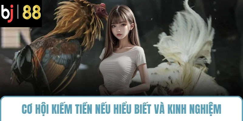 Cơ hội kiếm tiền nếu hiểu biết và kinh nghiệm