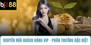 khuyến mãi khách hàng vip