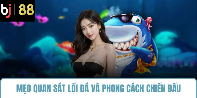 Mẹo quan sát lối đá và phong cách chiến đấu