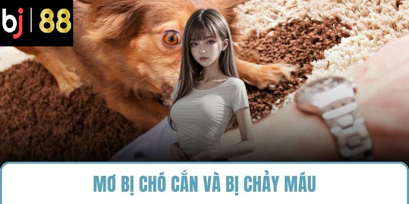 Mơ bị chó cắn và bị chảy máu