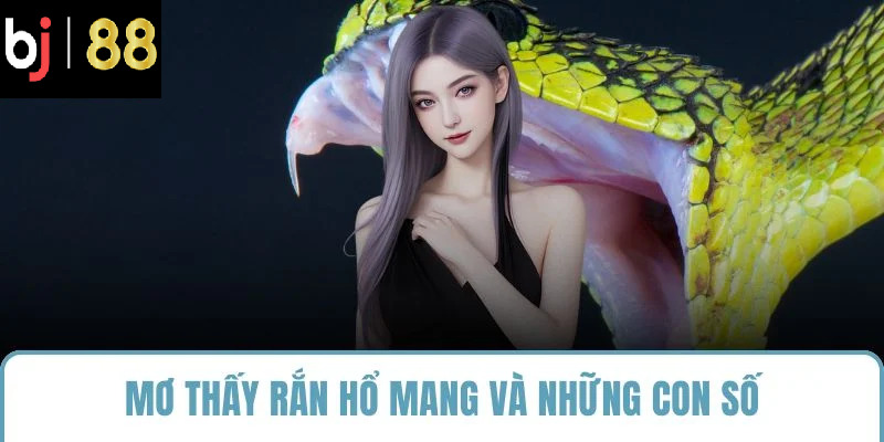 Mơ thấy rắn hổ mang và những con số