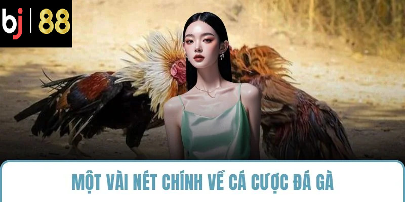 Một vài nét chính về cá cược đá gà
