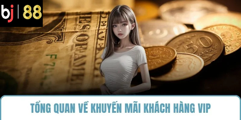 Tổng quan về khuyến mãi khách hàng VIP