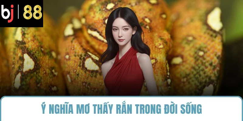 Ý nghĩa mơ thấy rắn trong đời sống